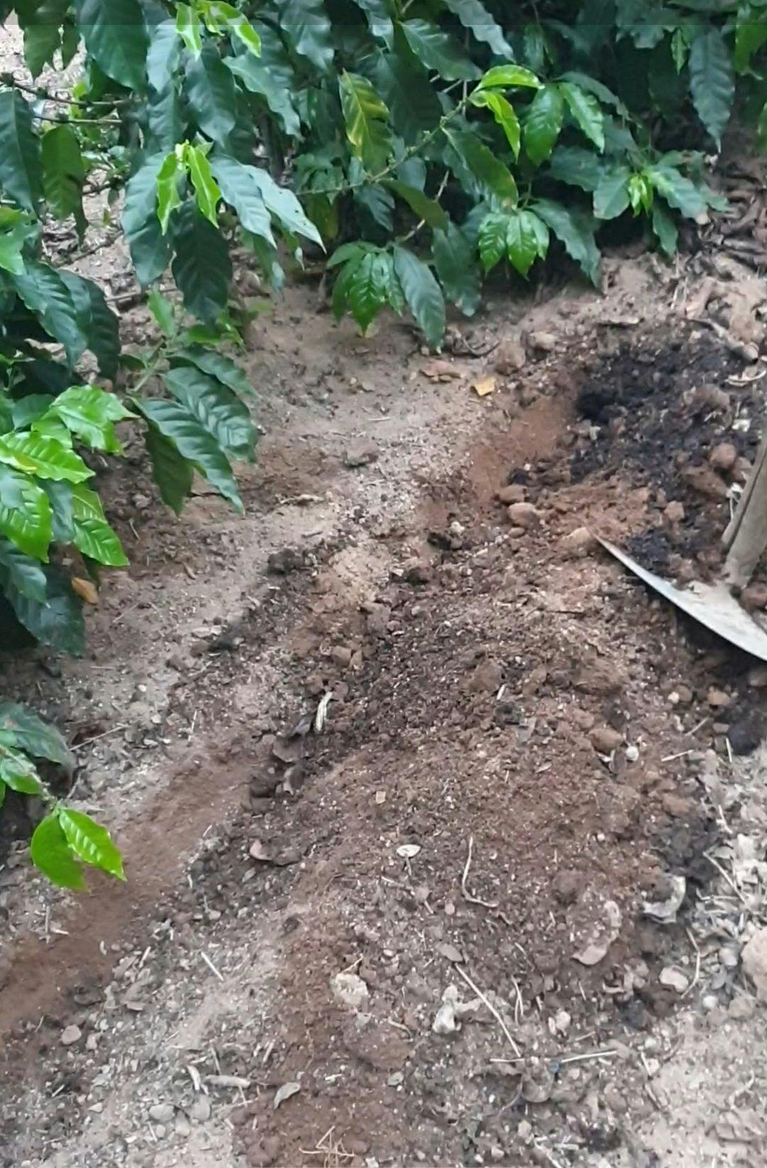 a person is digging in the dirt with a shovel