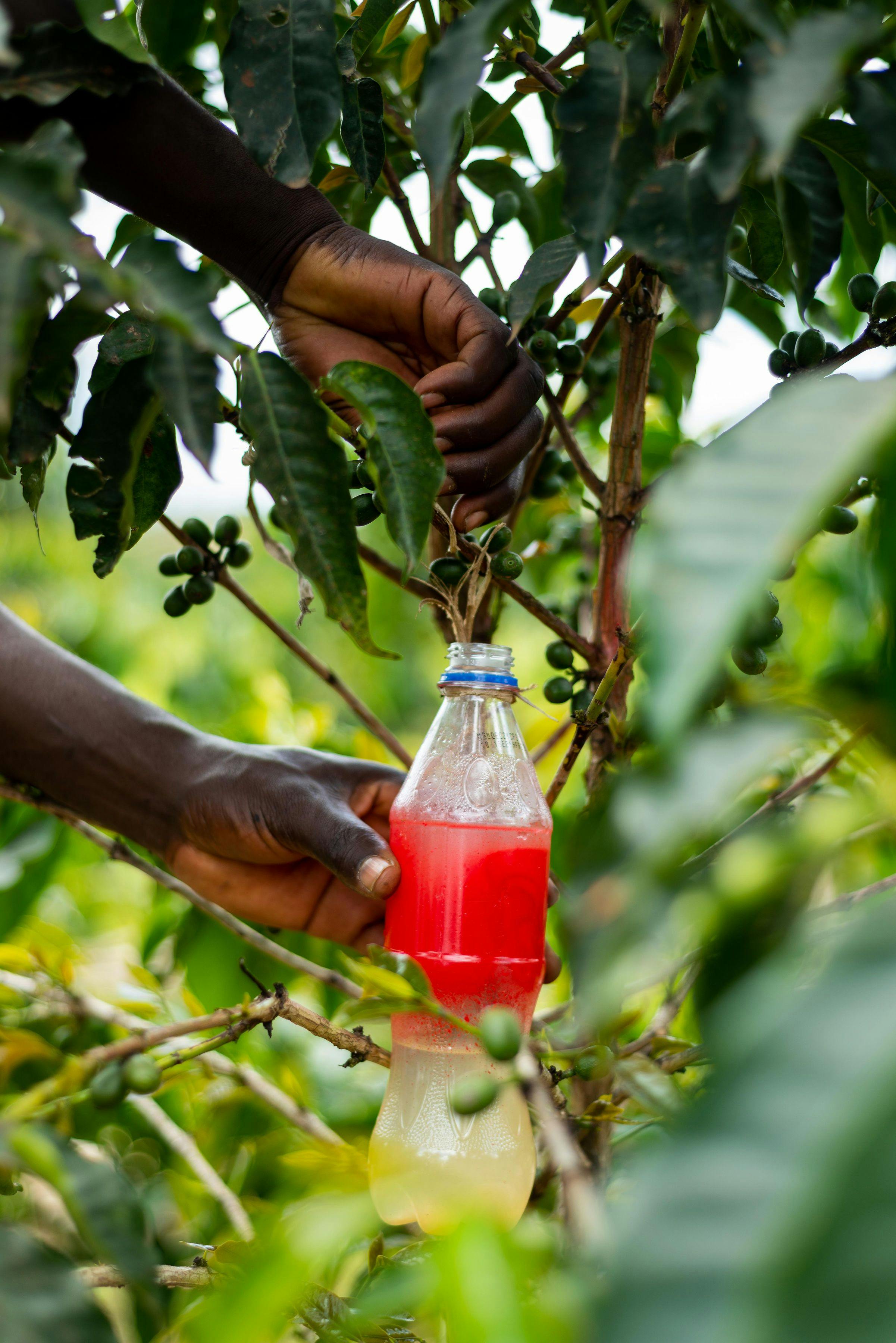 a person is holding a bottle with a red liquid in it .