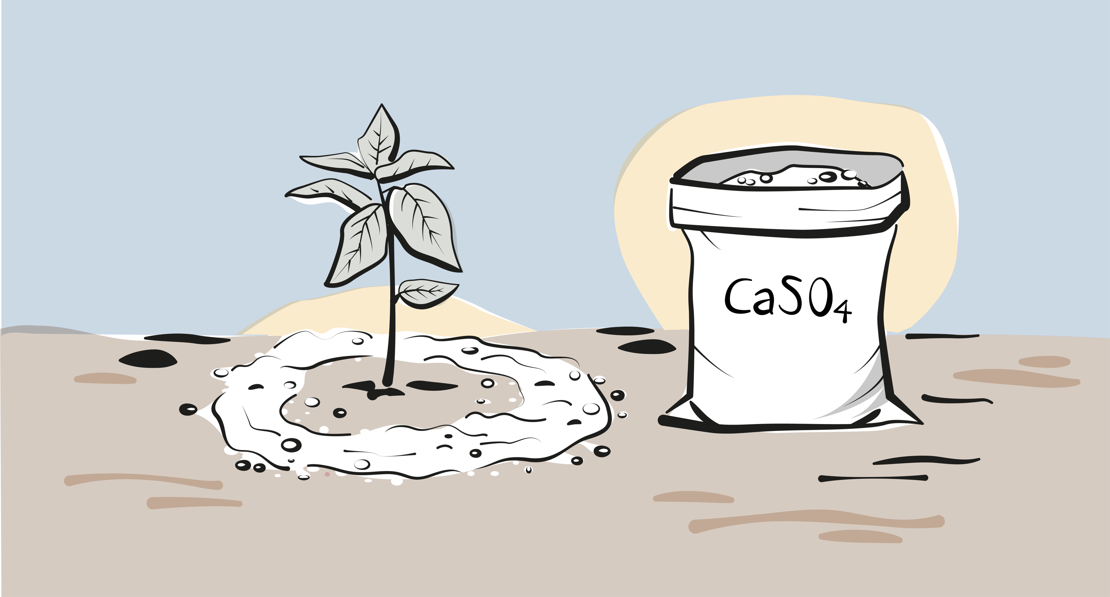 a drawing of a plant growing out of a hole in the ground