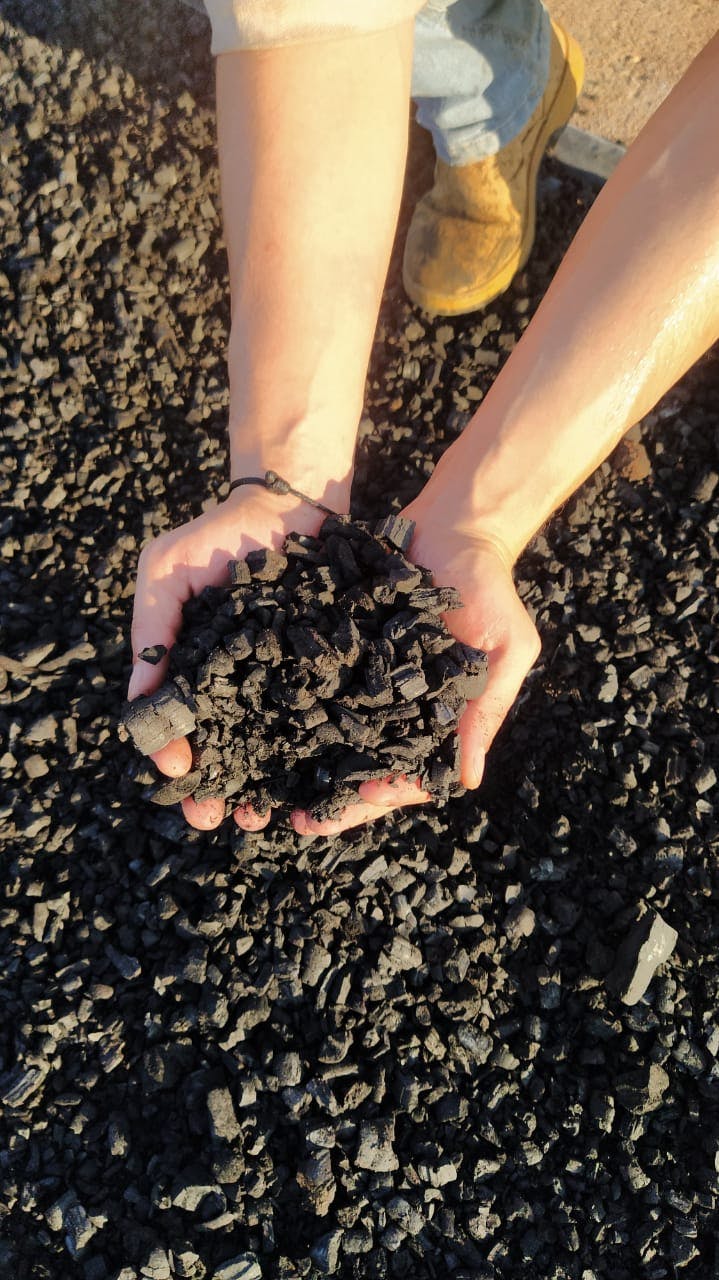 a person is holding a pile of coal in their hands