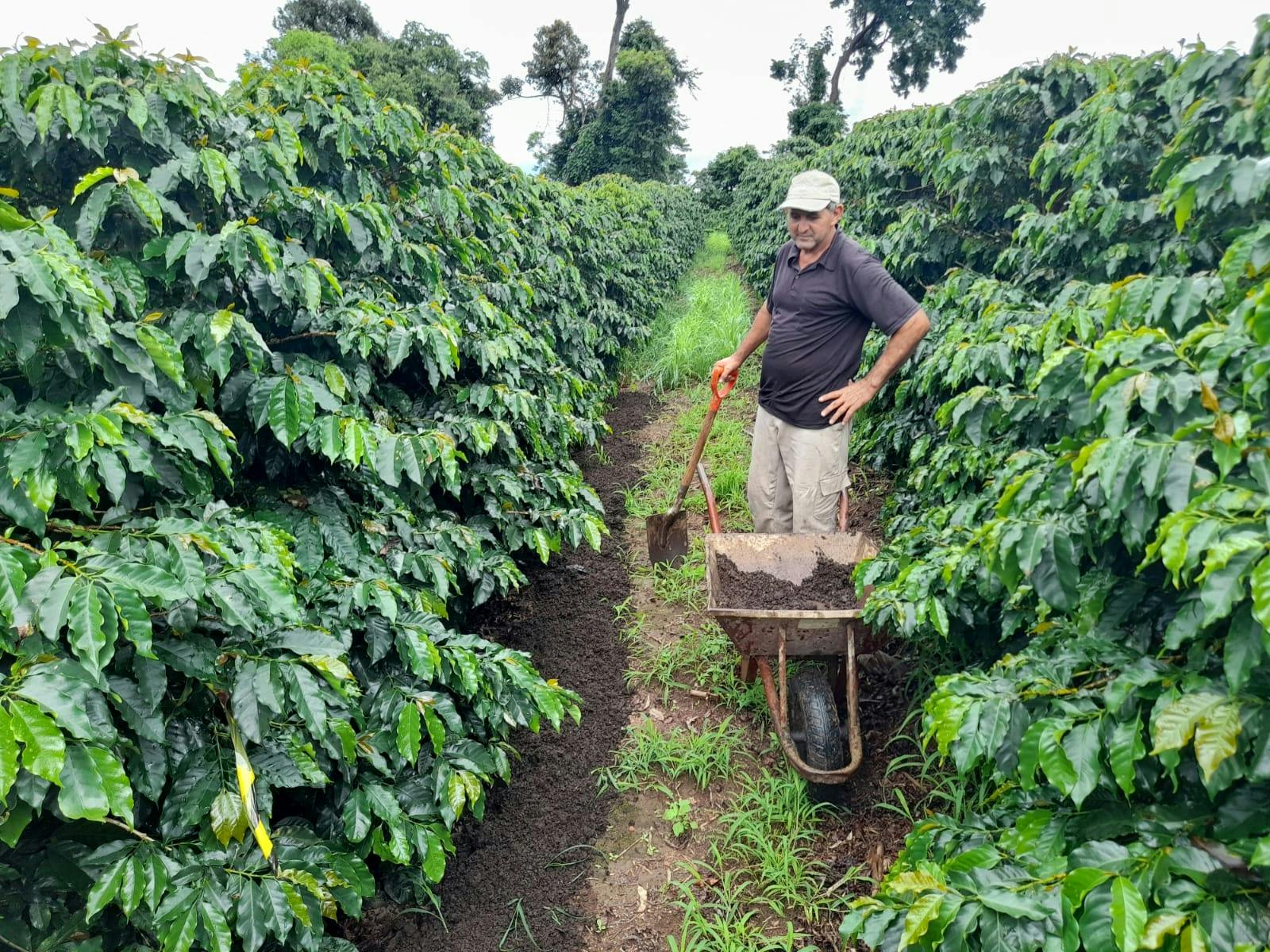 a man is standing next to a wheelbarrow in a coffee plantation .