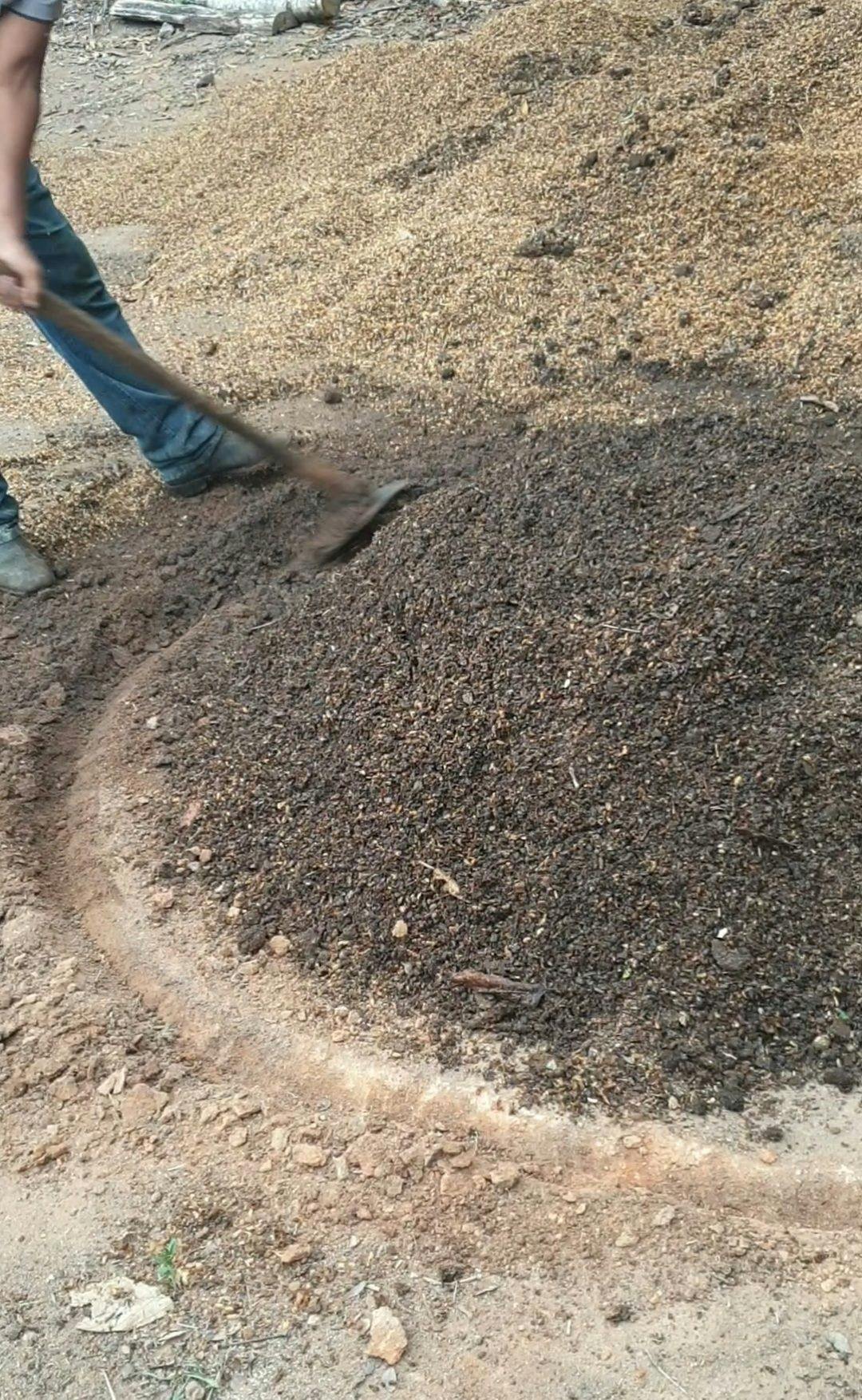 Digging a canal around the pile