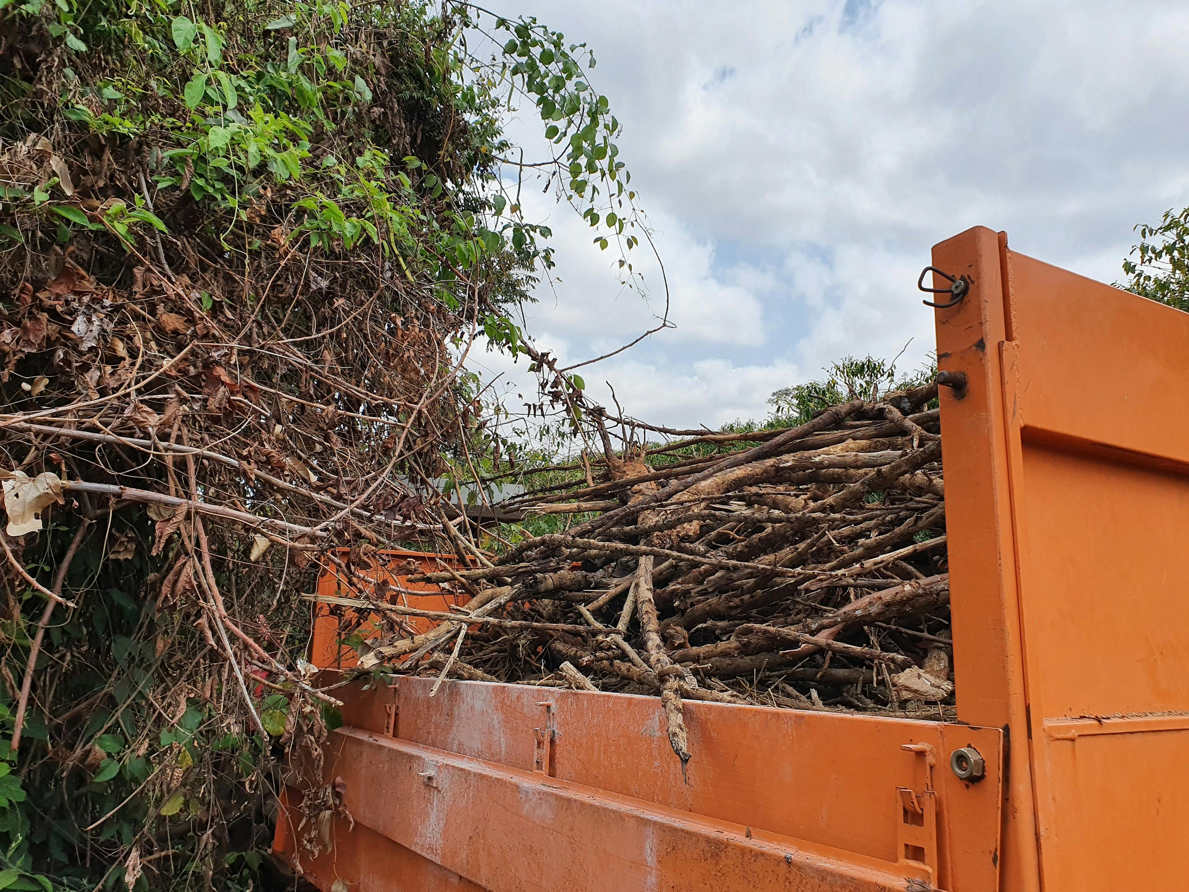 a large pile of wood is sitting in the back of an orange dumpster .