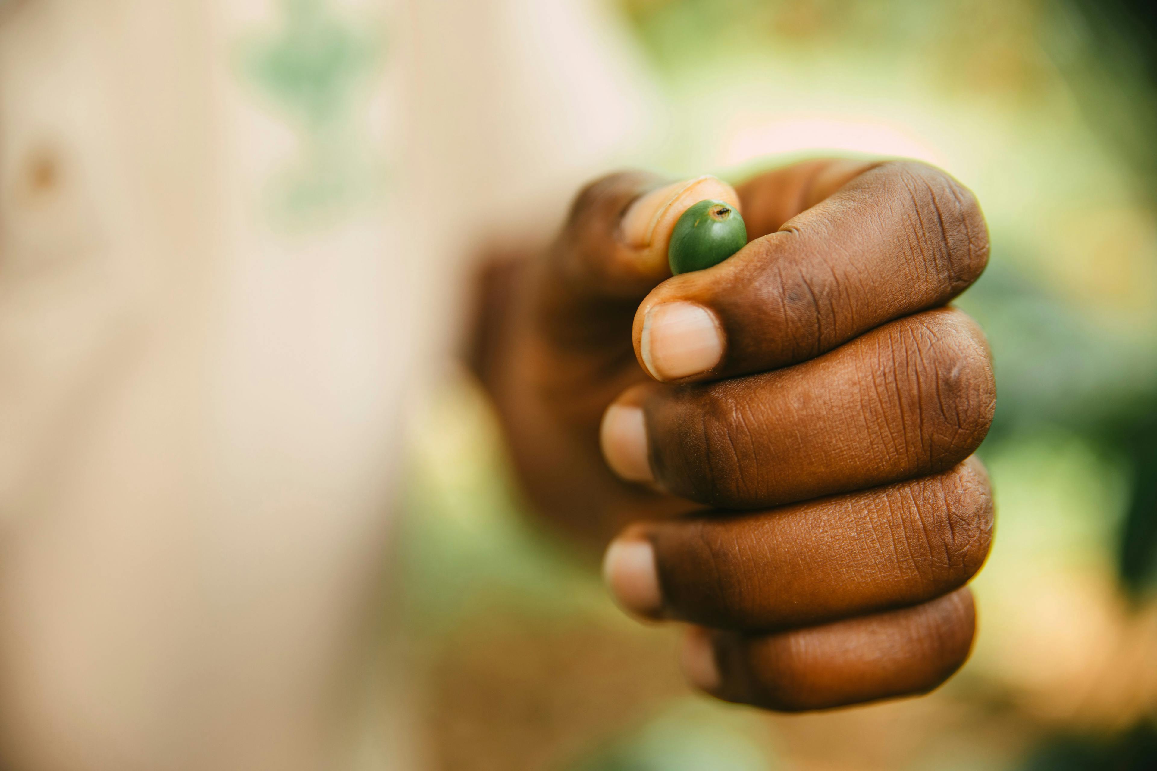 a person is holding a green bean in their hand .