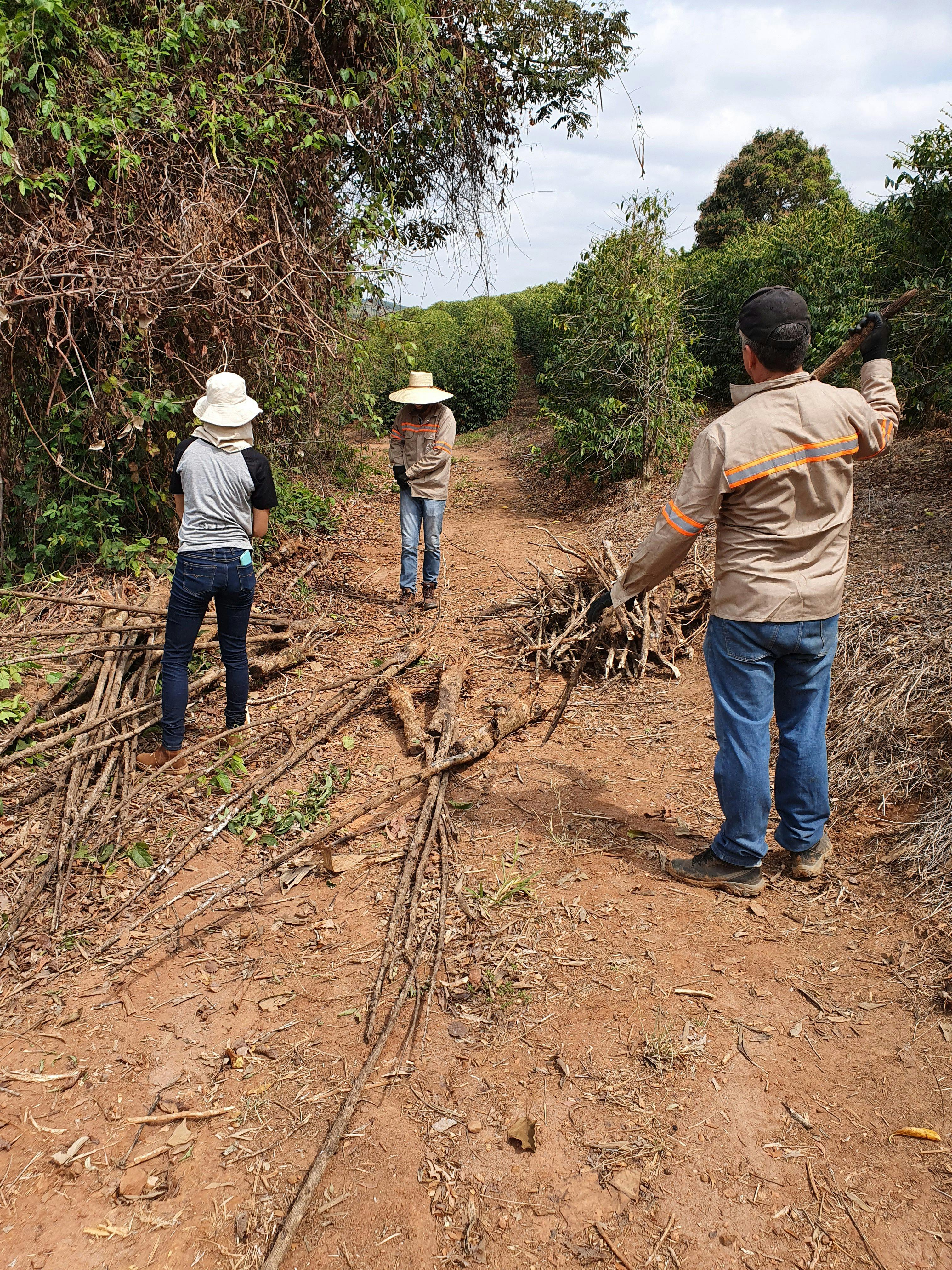 a group of people are standing on a dirt path in a field .