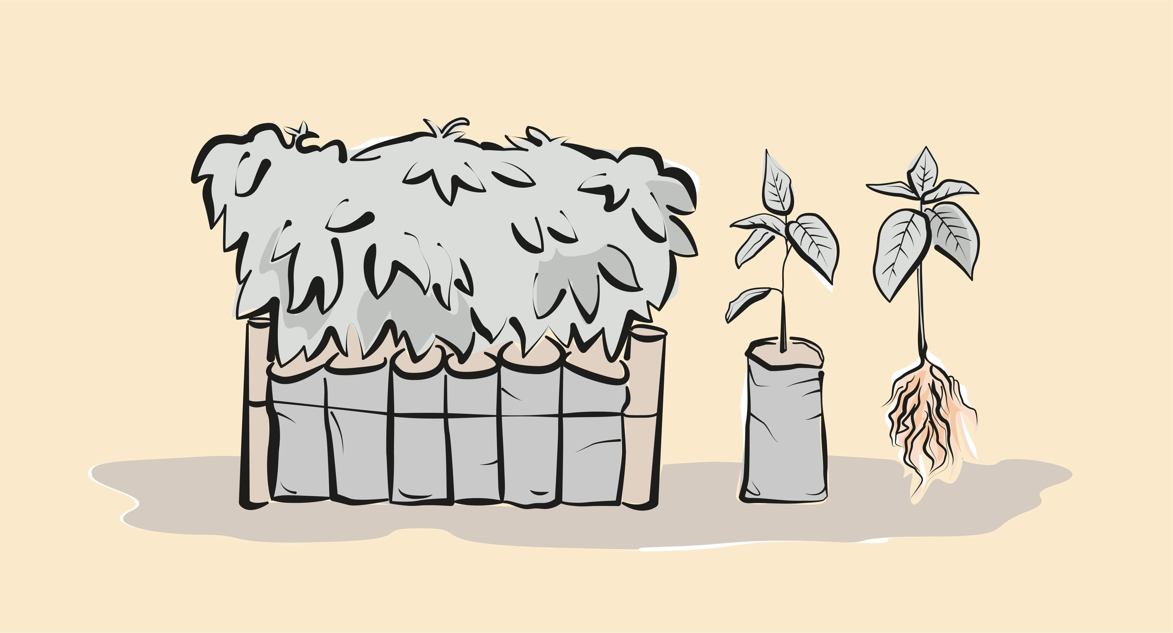 a drawing of a greenhouse with plants growing out of it