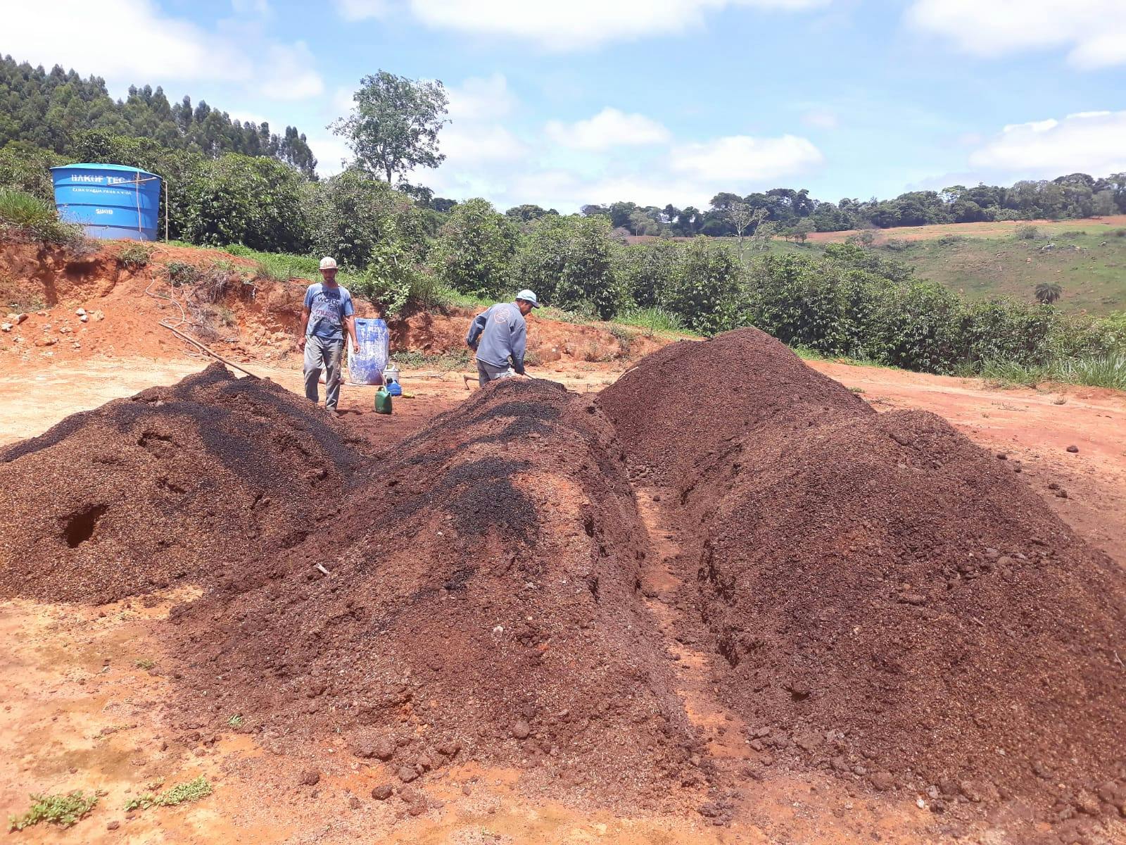 piling and mixing coffee husk and cow manure