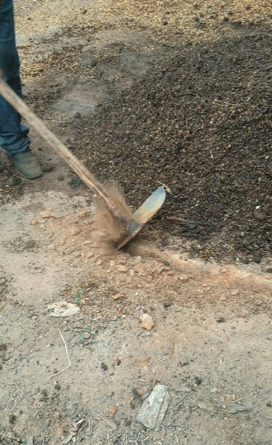 Digging a canal around the pile